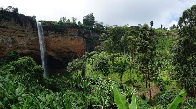Lush tropical forest with one of the Sipi Falls in the background, eastern Uganda