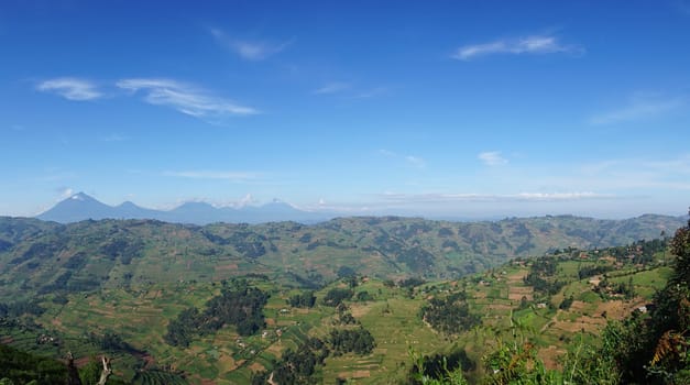 View onto the Virunga Mountain Range close to Bwindi Impenetrable Forest, Uganda