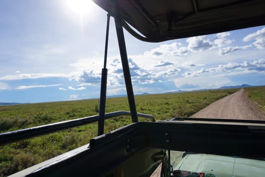 Game drive in the Serengeti with the roof of our 4x4 open, Tanzania 2021