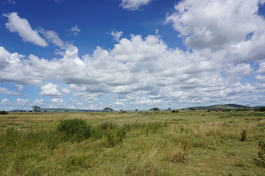 Breathtaking landscape in the Serengeti National Park, Tanzania 2021