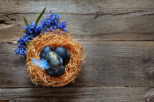 Easter painted eggs in a nest on a wooden background with blue spring flowers. Place for text.