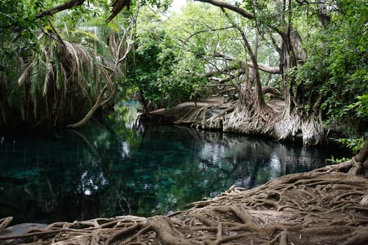 The beautiful Kikuletwa hot springs close to Moshi, Tanzania 2021