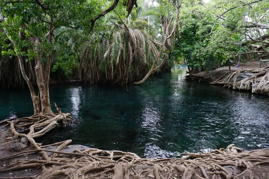 The Kikuletwa hot springs close to Moshi, Tanzania 2021