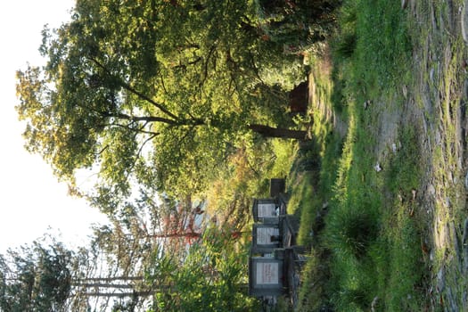 Picturesque scenery in the german graveyard of Sighisoara, Romania 2021