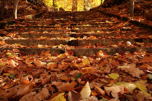 Stairway in the park around Rila Monastery, completely covered with leaves in autumn, Bulgaria 2021