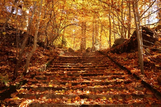 Picturesque view onto stairs in the woods of Rila Monastery in autumn, Bulgaria 2021