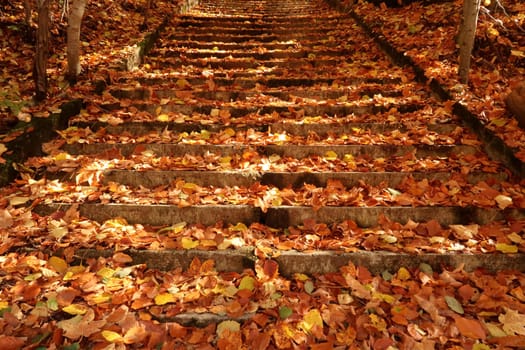 Stairway completely covered with colorful leaves close to Rila Monastery, Bulgaria 2021
