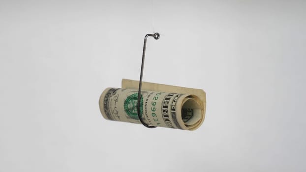 Dollar On A Fishing Hook Isolated On White Background