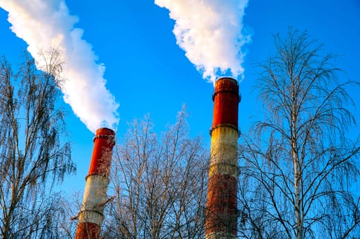 white smoke is coming out of the pipes in the blue sky. High quality photo