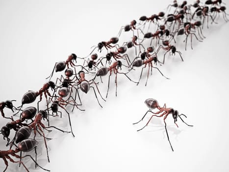 3D illustration of walking ants. Top view. 3D illustration.