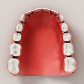 The mandible lower jaw or jawbone with teeth. 3D illustration