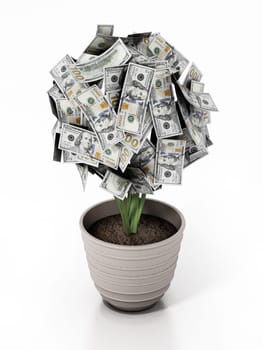 Money plant in the pot. 100 dollar bills on the plant. 3D illustration.