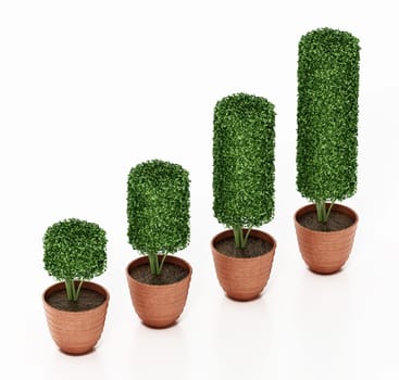 Rising pots with green bushes like a business graph. 3D illustration.