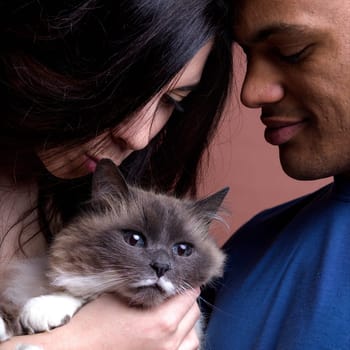portrait of an interracial couple with their beloved cat