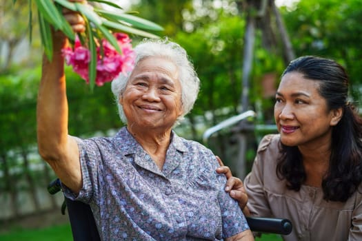 Caregiver help Asian elderly woman disability patient sitting on wheelchair in park, medical concept.