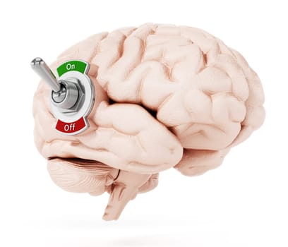 Human brain with on-off button isolated on white background. 3D illustration.