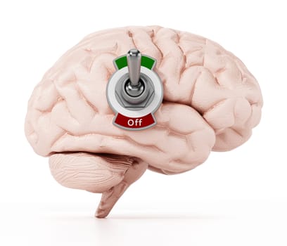 Human brain with on-off button isolated on white background. 3D illustration.