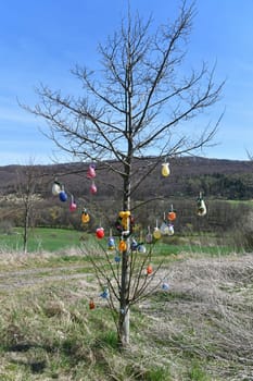 Rural woman decorate an Easter tree