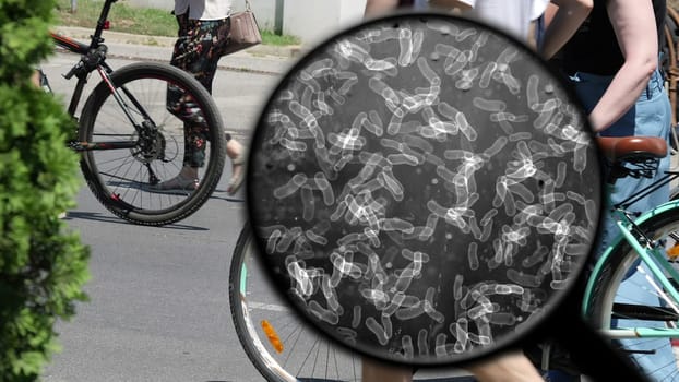Searching for virus on public place