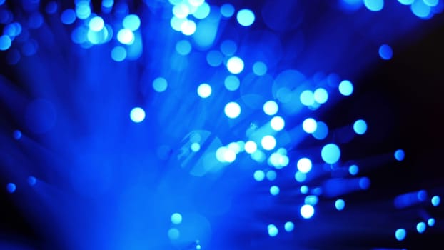 Close up of fiber optics