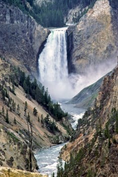 Lower Falls in Yellowstone National Park, Wyoming