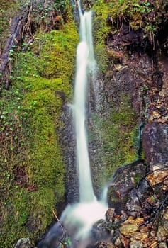 Waterfall in Olympic National Park, Washington