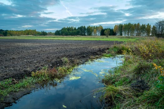 Rainwater in front of a plowed field, trees in the horizon, Zarzecze, Lubelskie, Poland