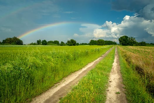 Dirt road through the fields and a rainbow in the sky, Nowiny, Poland