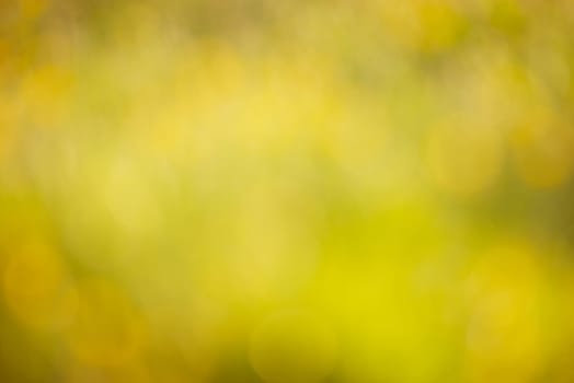 Soft blurred yellow and green colored background, spring and summer season, pastel colors, defocused abstract texture, greeting card