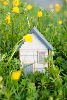 Wooden house in a meadow, buying or renting a housein nature, real estate concept, booking home for vacation, copy space for text