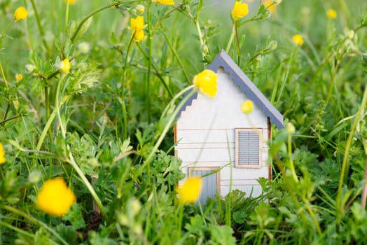 Wooden house in a meadow, buying or renting a housein nature, real estate concept, booking home for vacation, copy space for text