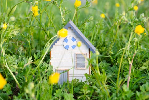 Wooden house in a meadow, buying or renting a housein nature, real estate concept, booking home for vacation, copy space for text