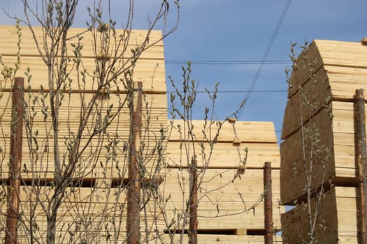 Transportation of chopped wood, boards by rail. Ecology. The fuel crisis.
