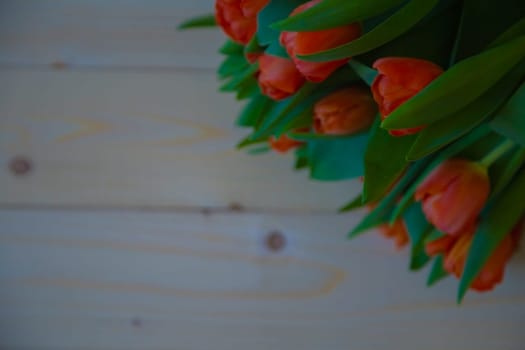Red tulips with green leaves lie in the upper corner on a wooden background. High quality photo