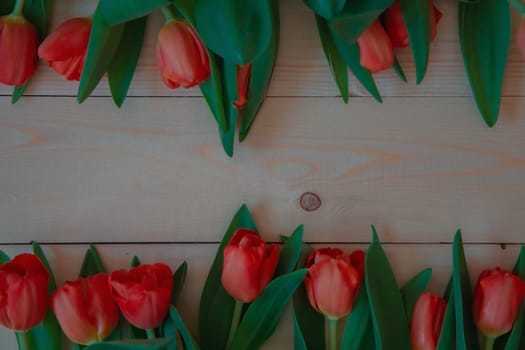 Pink tulips with green leaves lie in a row at the bottom and top on a wooden background with a place for text. High quality photo
