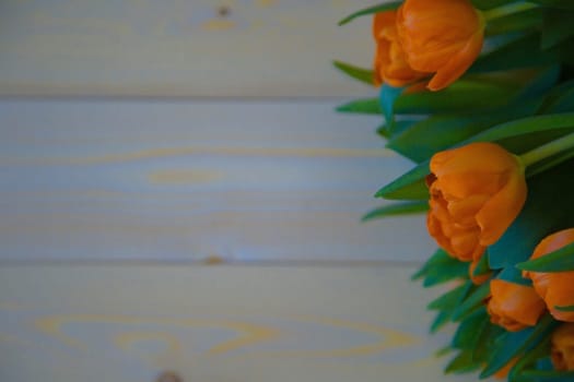 Orange tulips with green leaves lie on the side on a wooden background. High quality photo