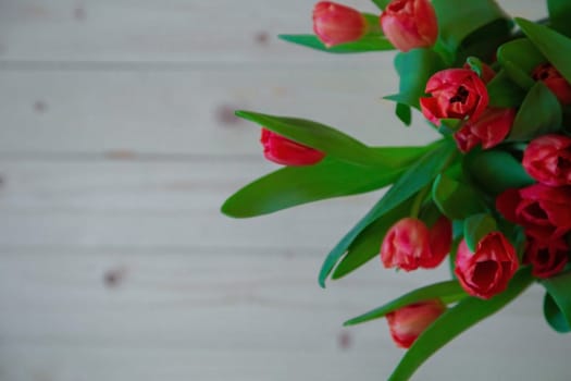 Pink tulips with green leaves are on the side of the exposition, the background of wood is blurred. High quality photo