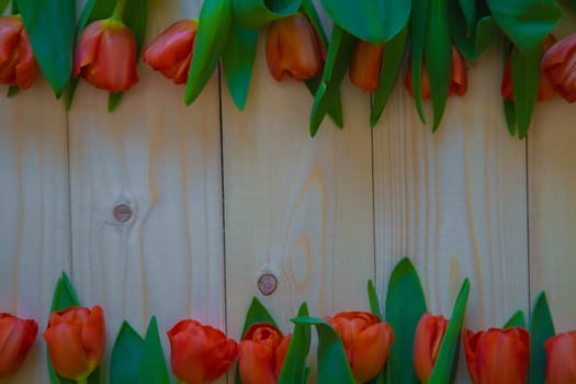 Pink tulips with green leaves lie in a row at the bottom and top on a wooden background with a place for text. High quality photo