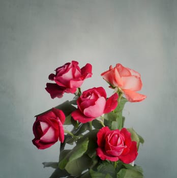 Red roses in front of rustic wall