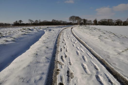 Path under the snow in Brittany