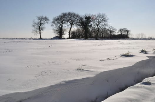 Fields under the snow in Brittany