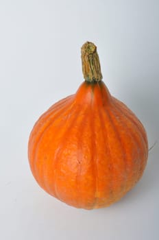 pumpkin on a white background