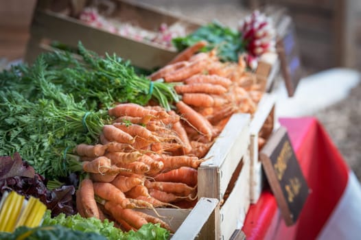 tasted and fresh carots vegetables on a market