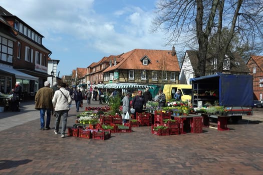 Wochenmarkt auf dem Kirchplatz, Niedersachsen, Deutschland, Bad Bevensen