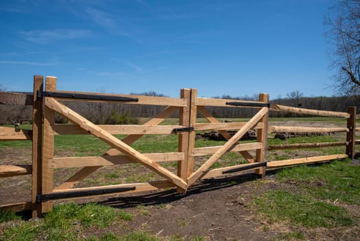 Fresh new fence and gate in a sunny pasture under a blue sky. Serene, tranquil nature image of secure enclosure. No people, shot in natural light with copy space.