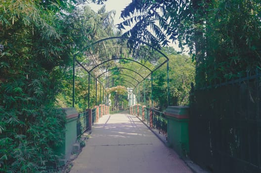A bridge in garden.