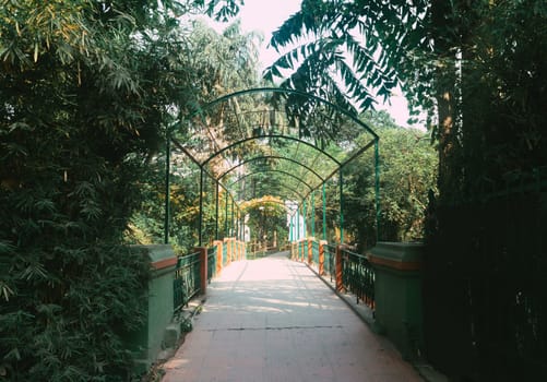 A bridge in garden.