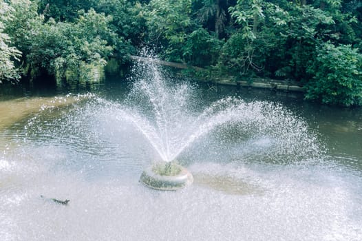 A beautiful water fountain in the forest.