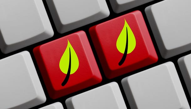 2 leafs on red computer keyboard - 3D illustration