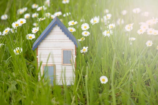 Wooden house in a meadow, buying or renting a house in nature, real estate concept, booking home for vacation, copy space for text